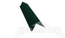Планка торцевая 80х100, Полиэстер RAL 6005 зеленый мох, толщина 0,45